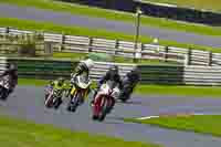 enduro-digital-images;event-digital-images;eventdigitalimages;mallory-park;mallory-park-photographs;mallory-park-trackday;mallory-park-trackday-photographs;no-limits-trackdays;peter-wileman-photography;racing-digital-images;trackday-digital-images;trackday-photos